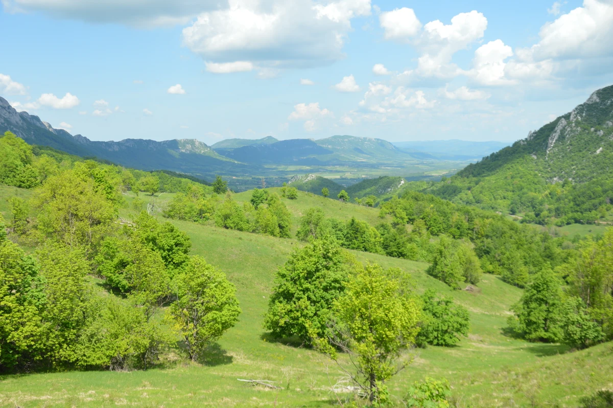 Iskustvo koje stoji iza priče